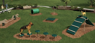 rendering of dog park