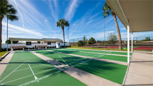 Shuffleboard Courts